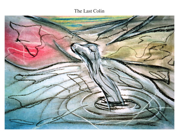 The Last Colin