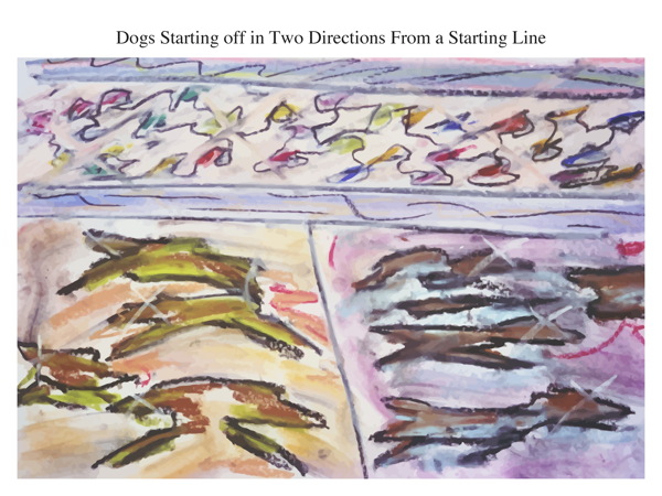 Dogs Starting off in Two Directions From a Starting Line