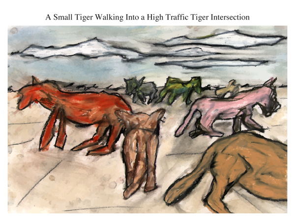 A Small Tiger Walking Into a High Traffic Tiger Intersection
