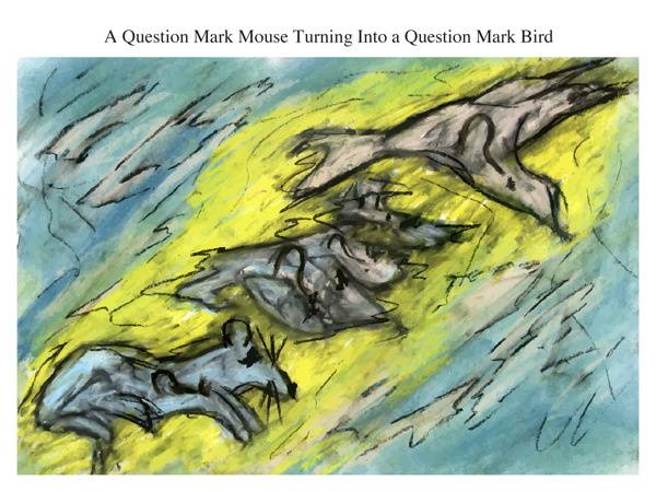A Question Mark Mouse Turning Into a Question Mark Bird