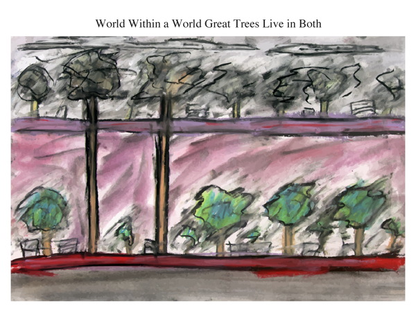 World Within a World Great Trees Live in Both
