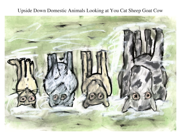 Upside Down Domestic Animals Looking at You Cat Sheep Goat Cow