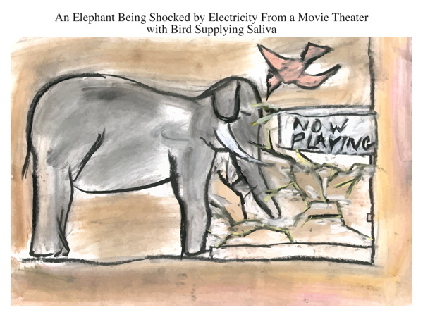 An Elephant Being Shocked by Electricity From a Movie Theater with Bird Supplying Saliva