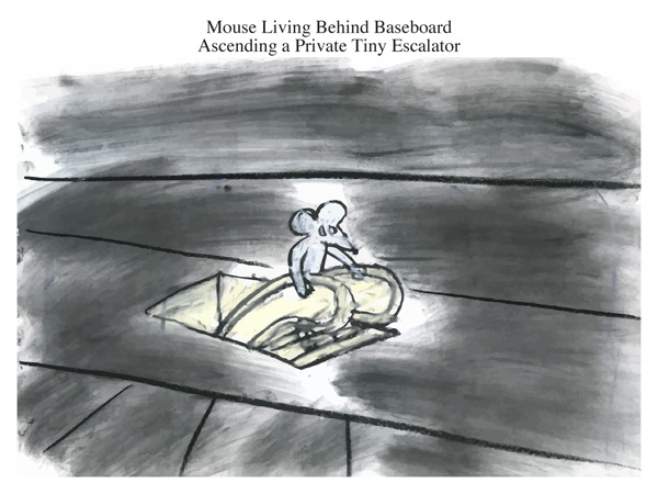 Mouse Living Behind Baseboard Ascending a Private Tiny Escalator