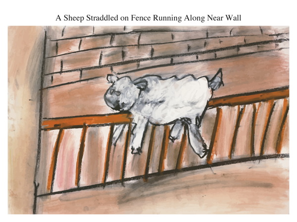 A Sheep Straddled on Fence Running Along Near Wall