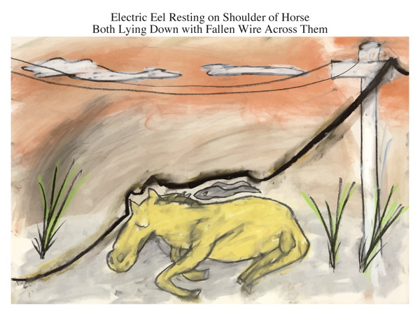 Electric Eel Resting on Shoulder of Horse Both Lying Down with Fallen Wire Across Them