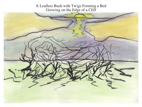 A Leafless Bush with Twigs Forming a Bed Growing on the Edge of a Cliff