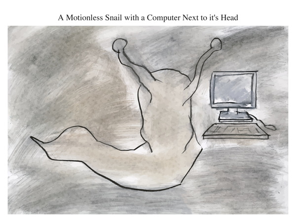 A Motionless Snail with a Computer Next to it's Head