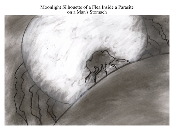 Moonlight Silhouette of a Flea Inside a Parasite on a Man's Stomach