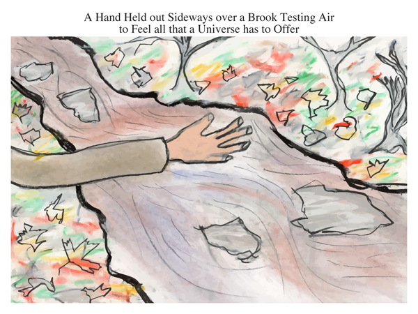 A Hand Held out Sideways over a Brook Testing Air to Feel all that a Universe has to Offer