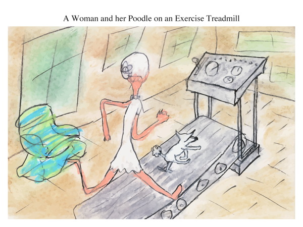 A Woman and her Poodle on an Exercise Treadmill