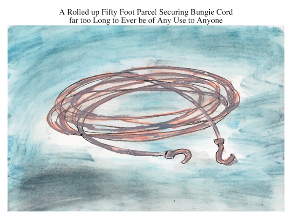 A Rolled up Fifty Foot Parcel Securing Bungie Cord far too Long to Ever be of Any Use to Anyone