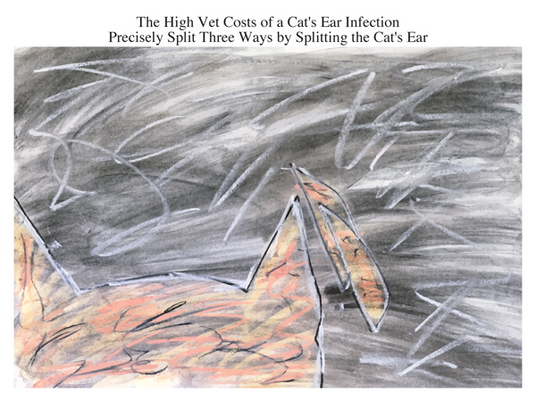 The High Vet Costs of a Cat's Ear Infection Precisely Split Three Ways by Splitting the Cat's Ear
