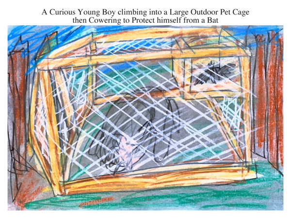 A Curious Young Boy climbing into a Large Outdoor Pet Cage then Cowering to Protect himself from a Bat