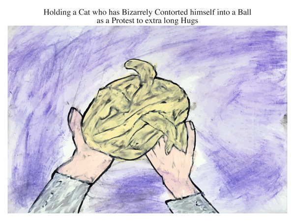 Holding a Cat who has Bizarrely Contorted himself into a Ball as a Protest to extra long Hugs