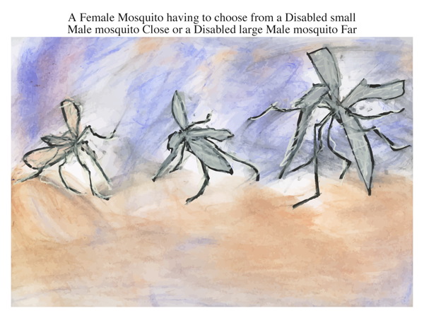 A Female Mosquito having to choose from a Disabled small Male mosquito Close or a Disabled large Male mosquito Far