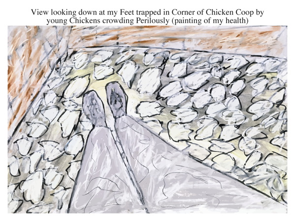 View looking down at my Feet trapped in Corner of Chicken Coop by young Chickens crowding Perilously (painting of my health)