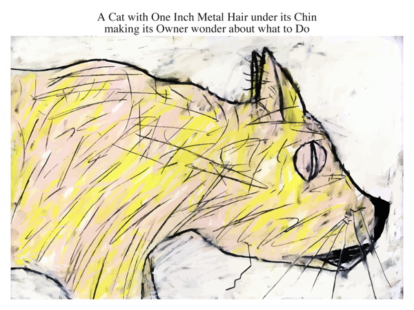 A Cat with One Inch Metal Hair under its Chin making its Owner wonder about what to Do