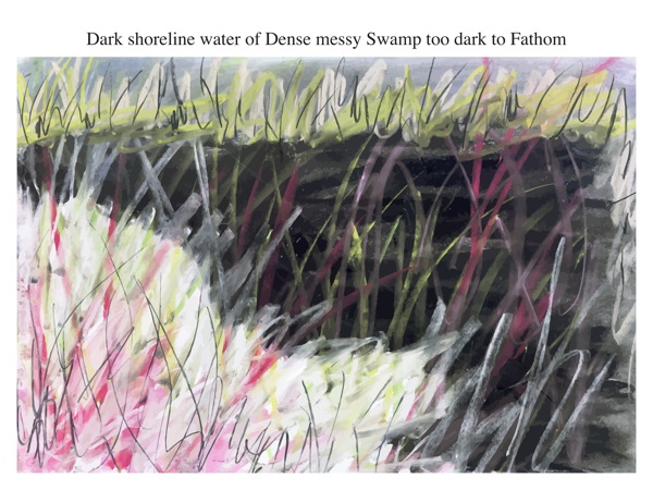 Dark shoreline water of Dense messy Swamp too dark to Fathom
