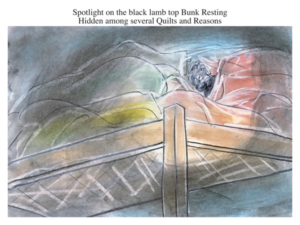 Spotlight on the black lamb top Bunk Resting Hidden among several Quilts and Reasons