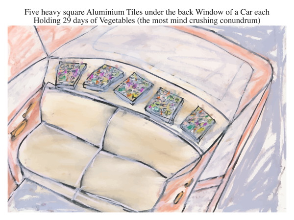 Five heavy square Aluminium Tiles under the back Window of a Car each Holding 29 days of Vegetables (the most mind crushing conundrum)