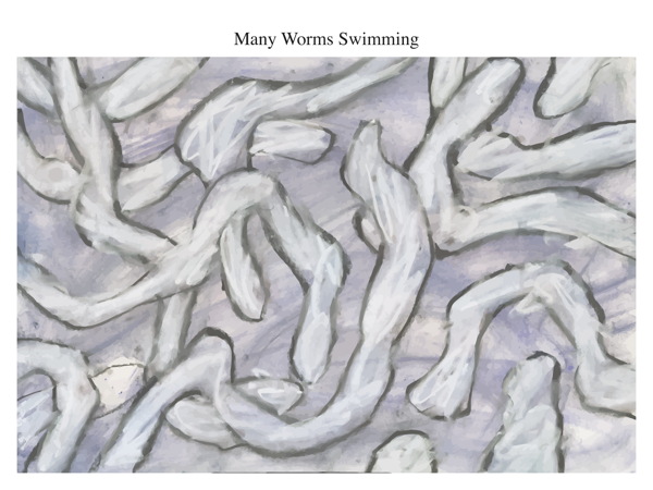 Many Worms Swimming