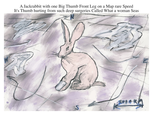 A Jackrabbit with one Big Thumb Front Leg on a Map rare Speed It's Thumb hurting from such deep surgeries Called What a woman Seas