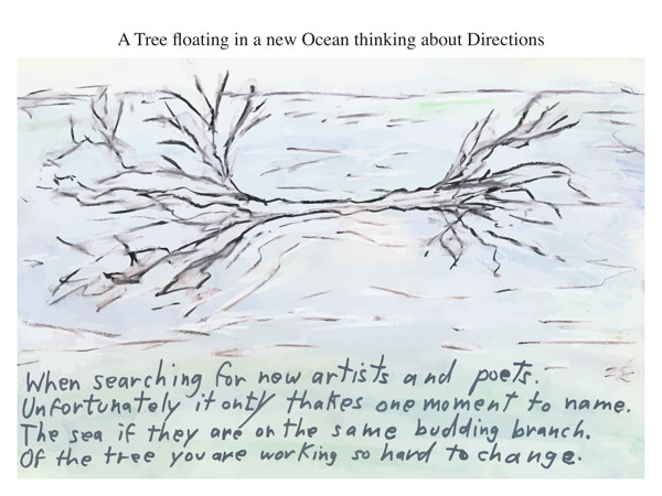 A Tree floating in a new Ocean thinking about Directions