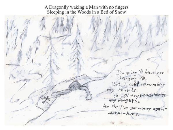 A Dragonfly waking a Man with no fingers Sleeping in the Woods in a Bed of Snow