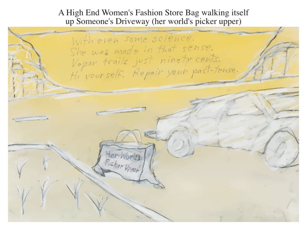 A High End Women's Fashion Store Bag walking itself up Someone's Driveway (her world's picker upper)