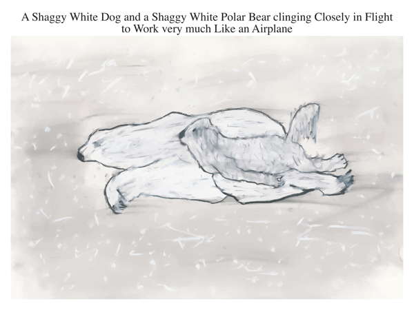 A Shaggy White Dog and a Shaggy White Polar Bear clinging Closely in Flight to Work very much Like an Airplane