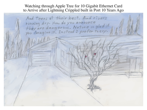 Watching through Apple Tree for 10 Gigabit Ethernet Card to Arrive after Lightning Crippled built in Port 10 Years Ago