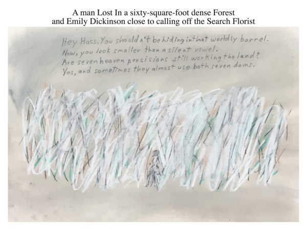 A man Lost In a sixty-square-foot dense Forest and Emily Dickinson close to calling off the Search Florist